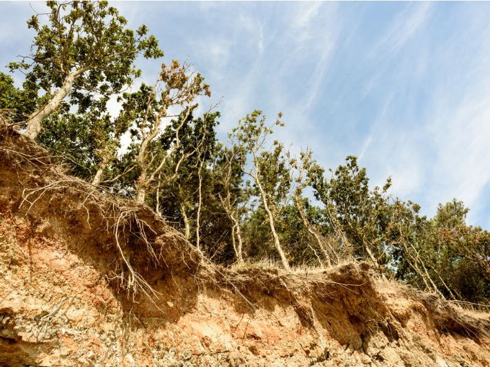 تعرية الرياح Wind Erosion
