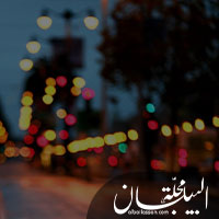 المدير