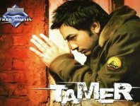 Tamer2.jpg