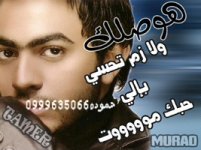 Tamer6.jpg