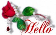 Hello_Flower.jpg