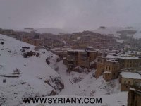 هطول الثلج.jpg