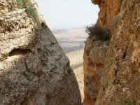 شي بفزع.jpg