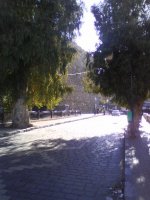 DSC05472.jpg