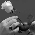 نسخ من user1132_pic784_1231458436_thumb.jpg