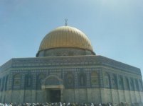 سسسسس.jpg