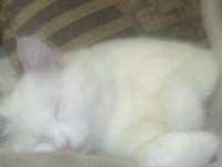DSC00151.JPG