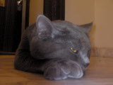 DSC00072.JPG