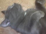 DSC00073.JPG