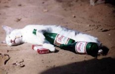 smokingdrinking.jpg