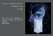 الفضول.jpg