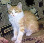 ٢٢١٠٢٠٠٩١١٥.jpg
