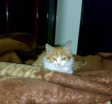 20091105133.jpg
