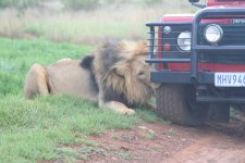 image003.jpg