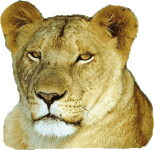 image010.gif