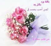 ورد2.jpg