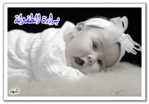 براءة7.jpg