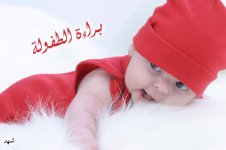 براءة9.jpg