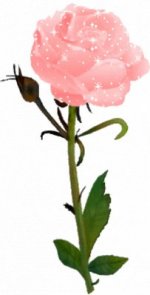 08b92a567f.jpg