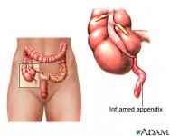 appendix3.jpg