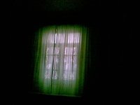 20100416.jpg