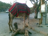 20100219.jpg