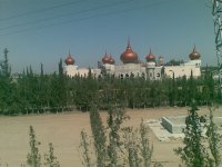 20100504(005).jpg