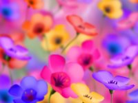 61f0adcff5f2.jpg
