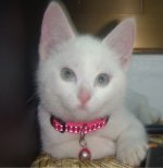DSC08105.jpg