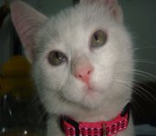 DSC08129.jpg