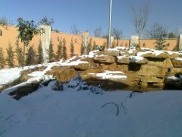 صورة0390.jpg
