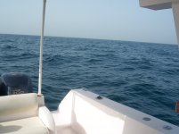 100_3708 - Copy.jpg
