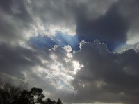 20121028_145528.jpg