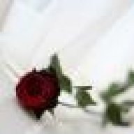 Rule Of rOsE