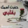 مجموعة انسان