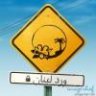 ورد لبنان